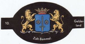 Zaltbommel.newa.jpg