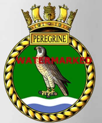 Coat of arms (crest) of the HMS Peregrine, Royal Navy