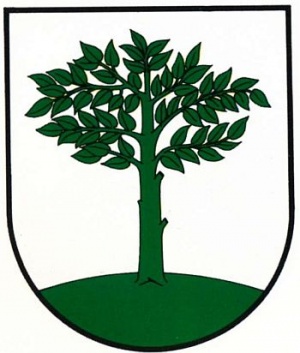 Coat of arms (crest) of Braniewo