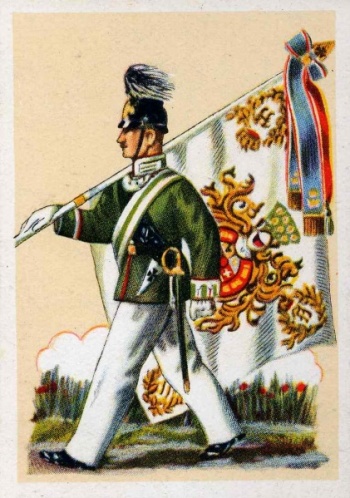 Arms of Grand Ducal Mecklenburgian Jaeger Battalion No 14, Germany
