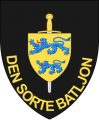 II Battalion, Slesvig Foot Regiment, Danish Army.png