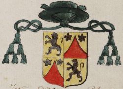 Arms (crest) of Karel-Filips de Rodoan