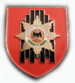 Military Police Battalion 733, German Army.png