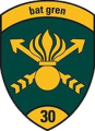 Grenadier Battalion 30, Switzerland.png