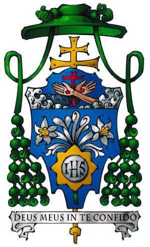Arms of Dominique Joseph Mathieu